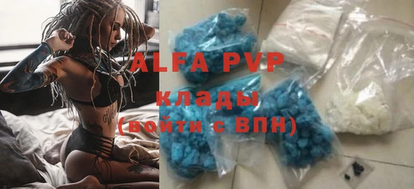 прущие грибы Абаза