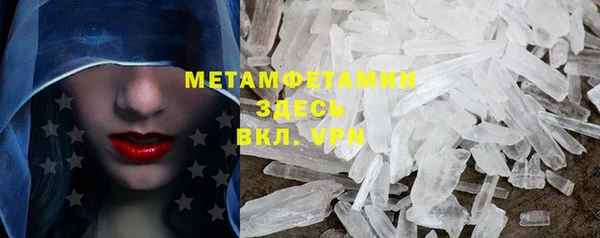 прущие грибы Абаза
