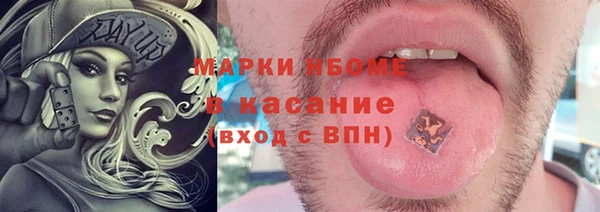 прущие грибы Абаза