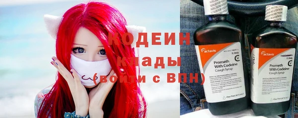 прущие грибы Абаза