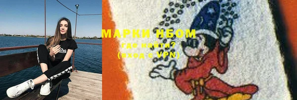 прущие грибы Абаза