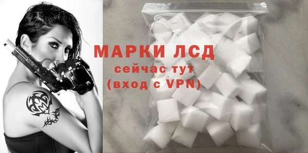 прущие грибы Абаза
