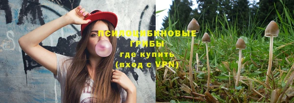 прущие грибы Абаза