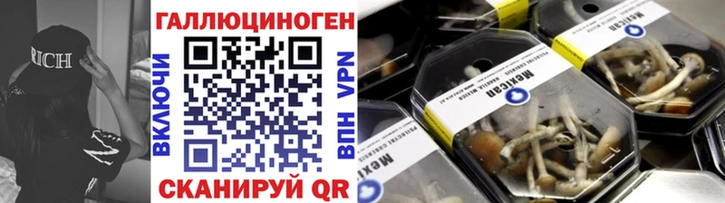 мега как зайти  Сурск  Псилоцибиновые грибы Psilocybine cubensis 